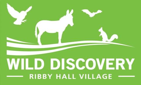 Wild Discovery Wild Discovery