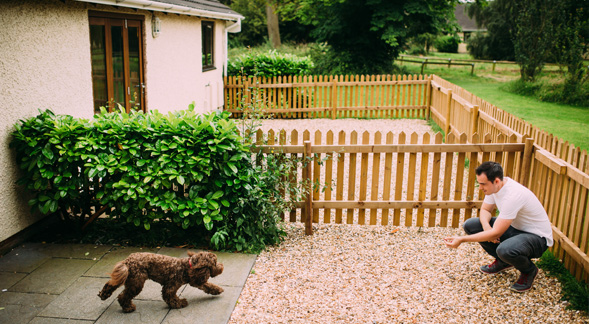 Dog Friendly Holiday Cottages | Ribby 