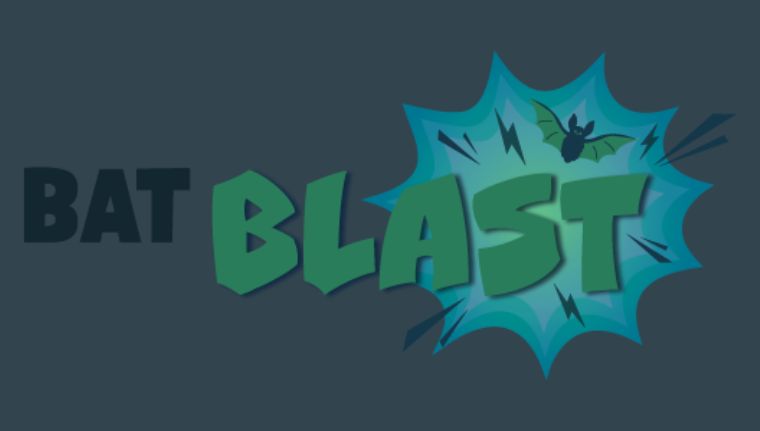 Bat Blast Experience