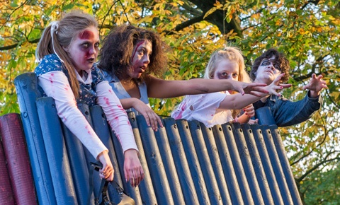 Trick or Treat Trick or Treat