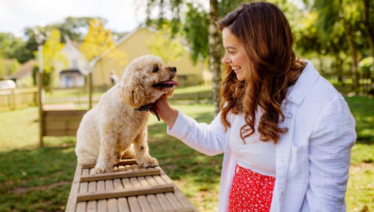 Dog-Friendly