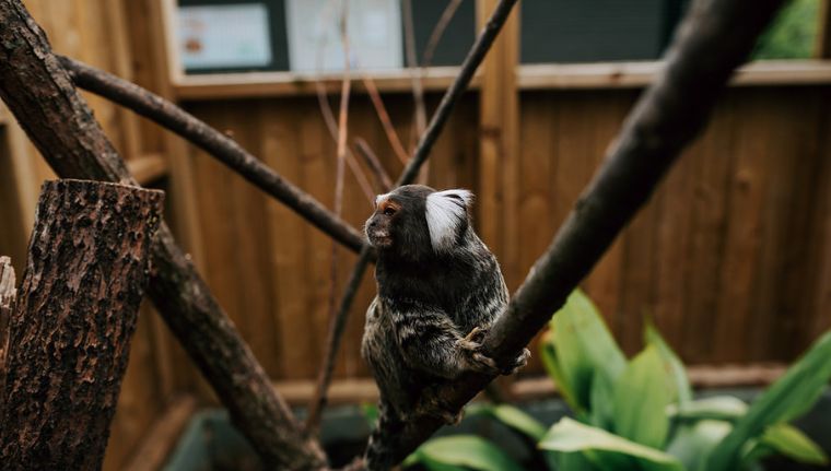 Visit Wild Discovery