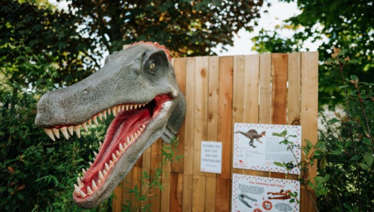 Dinosaur Walk
