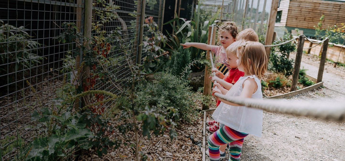 Wild Discovery Animal Experience & Feeding Ribby Hall Village